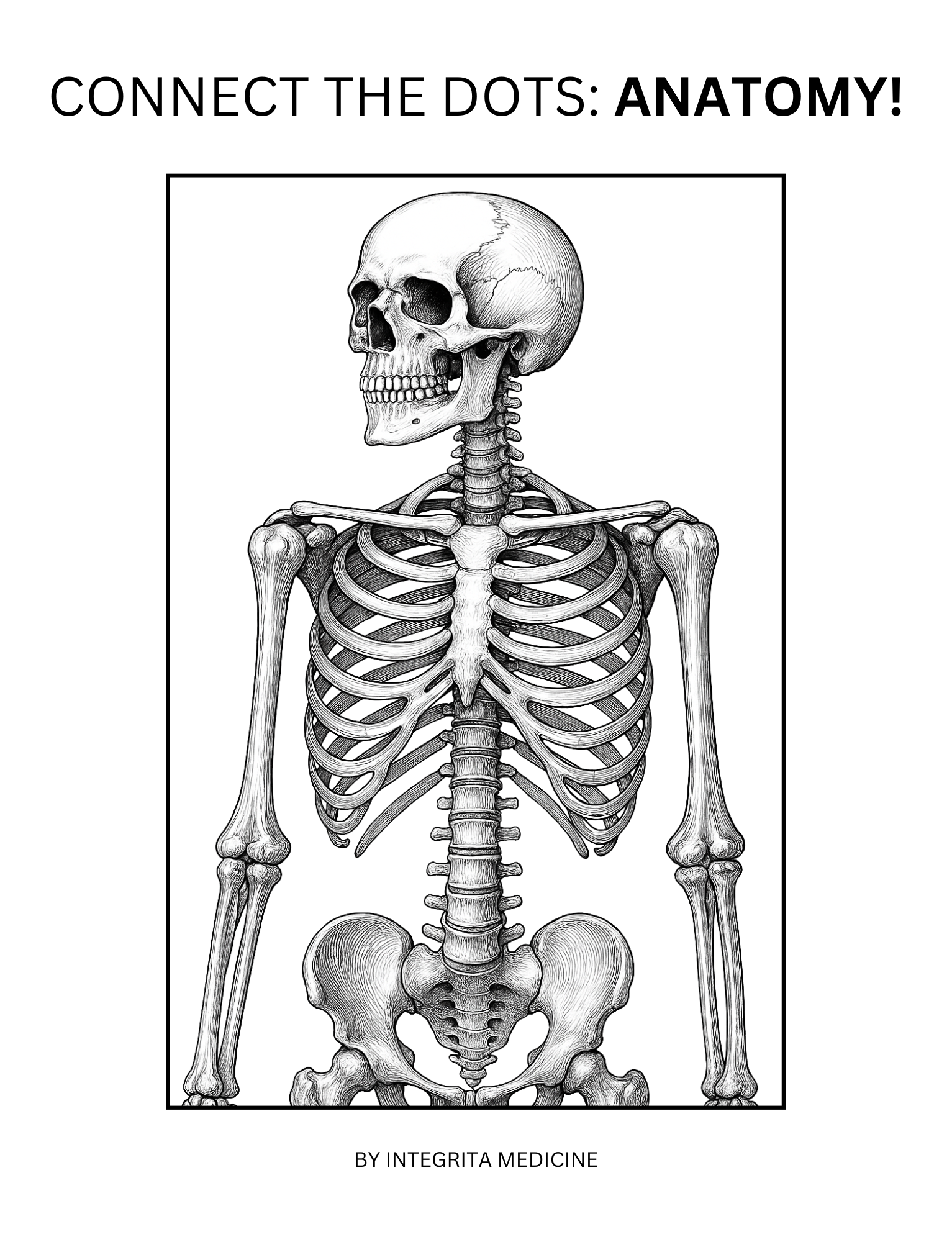 Connect the Dots: Anatomy Activity Book Cover